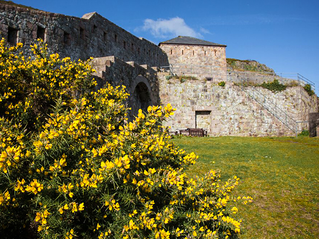 Lawned areas around the Fort