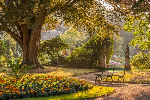 Autumn in a Guernsey Park