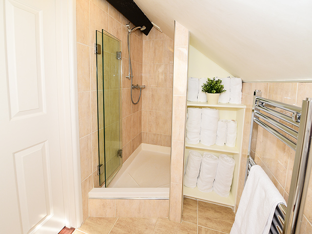 Shower room in the Coach House