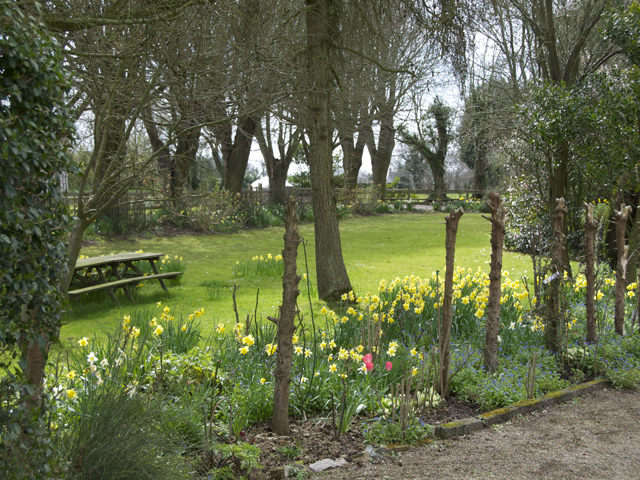 Brabant House garden in the Spring