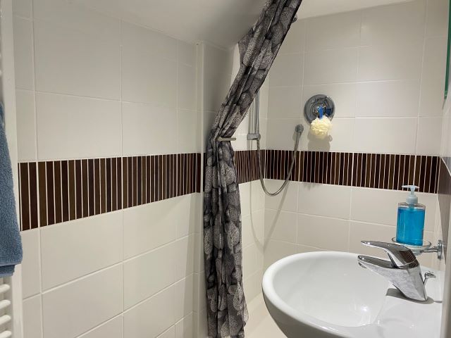 Shower room with basin and WC