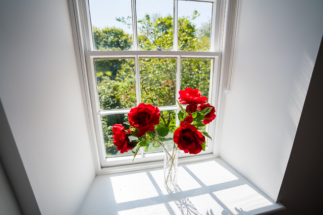 Views over the grounds from the downstairs bedroom