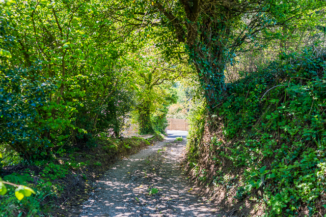 Entrance driveway to Bleue Lune