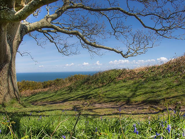 There is a great view of the French coast from the cliff path on a clear day