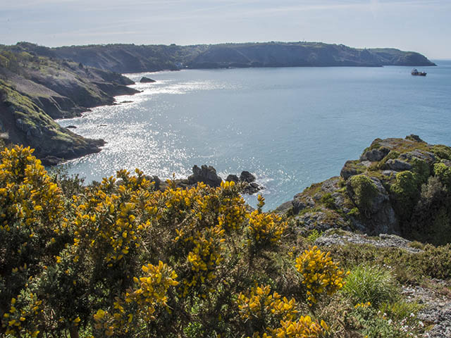 The North coast cliff path is nearby - view towards Bouley Bay