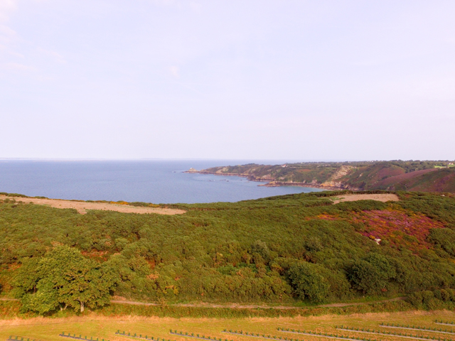 Views surrounding Sea View Cottage - including tea plantations in the foreground