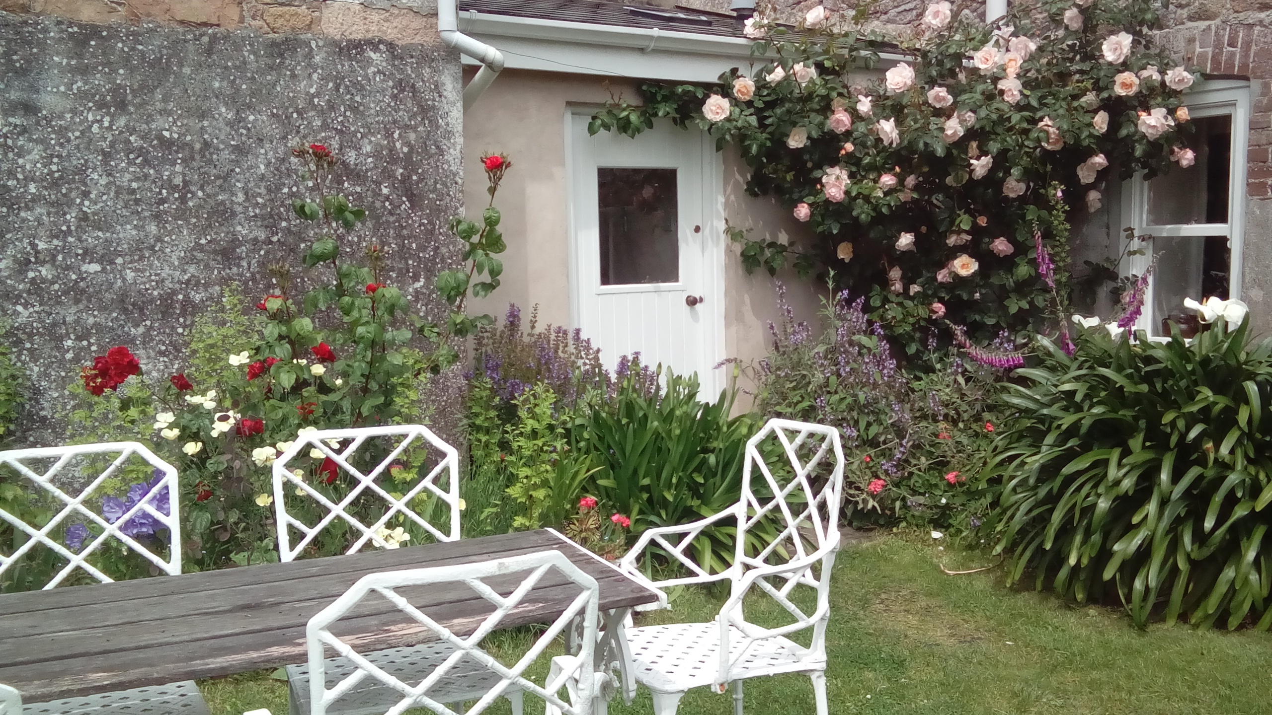 Beautiful flowers in full bloom at Bakehouse Cottage