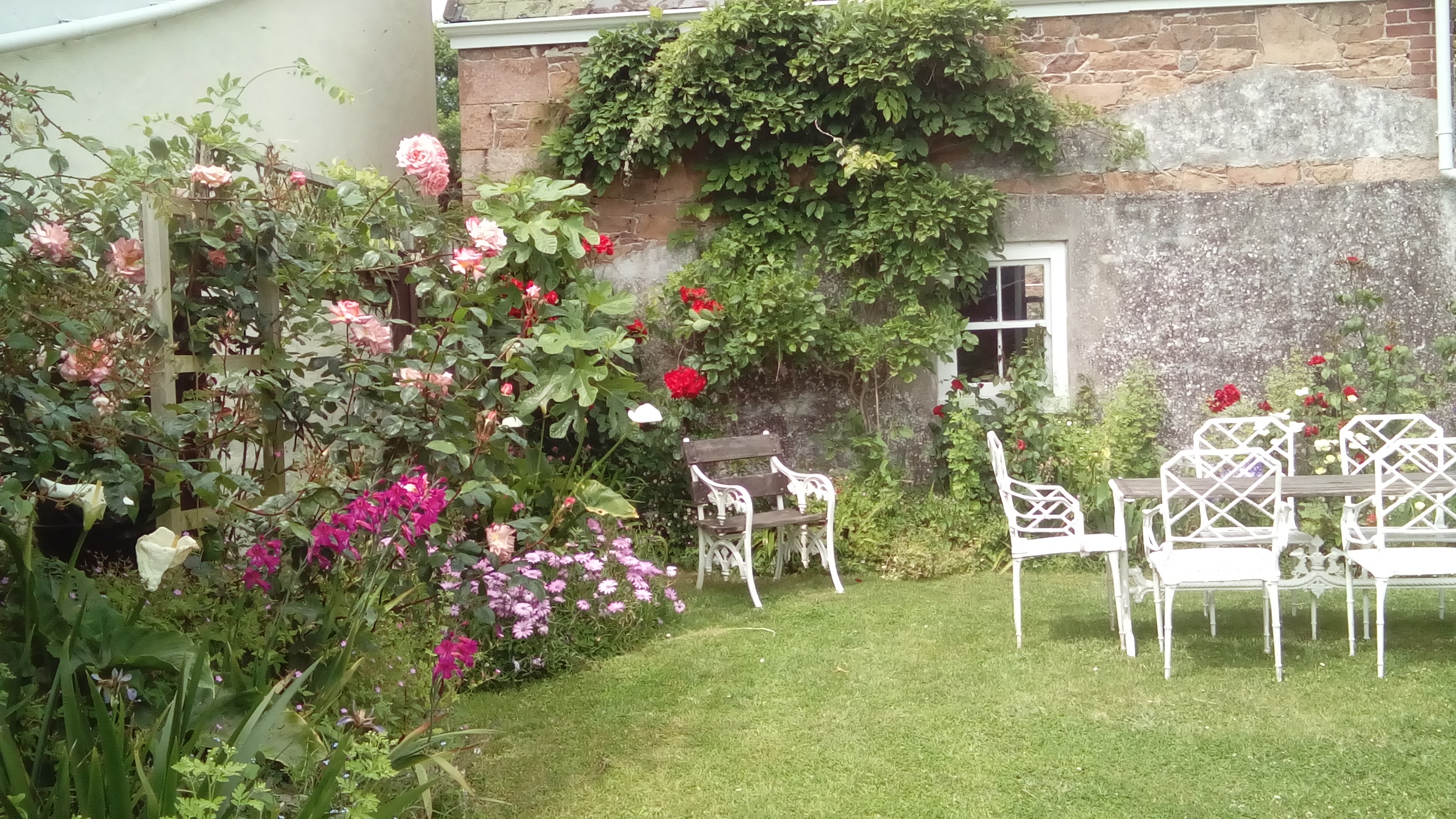 Beautiful flowers in the enclosed garden