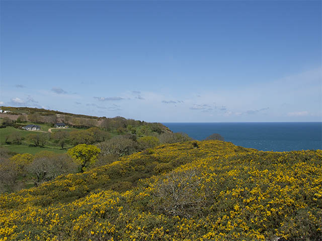 View towards Sea View Cottage from part of the north coast cliff path