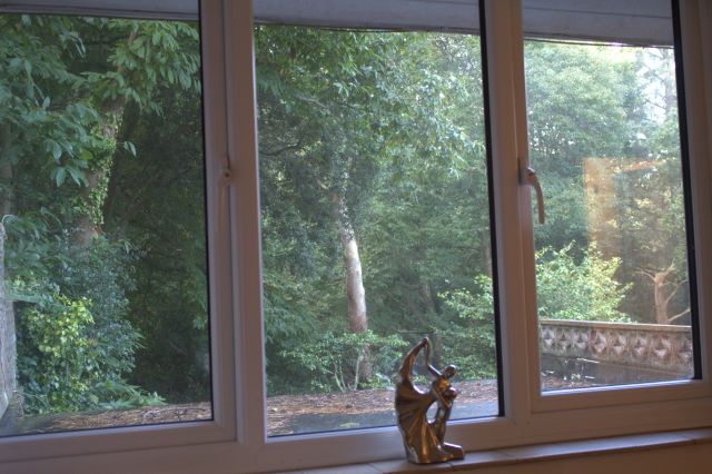 Woodland views from the lounge