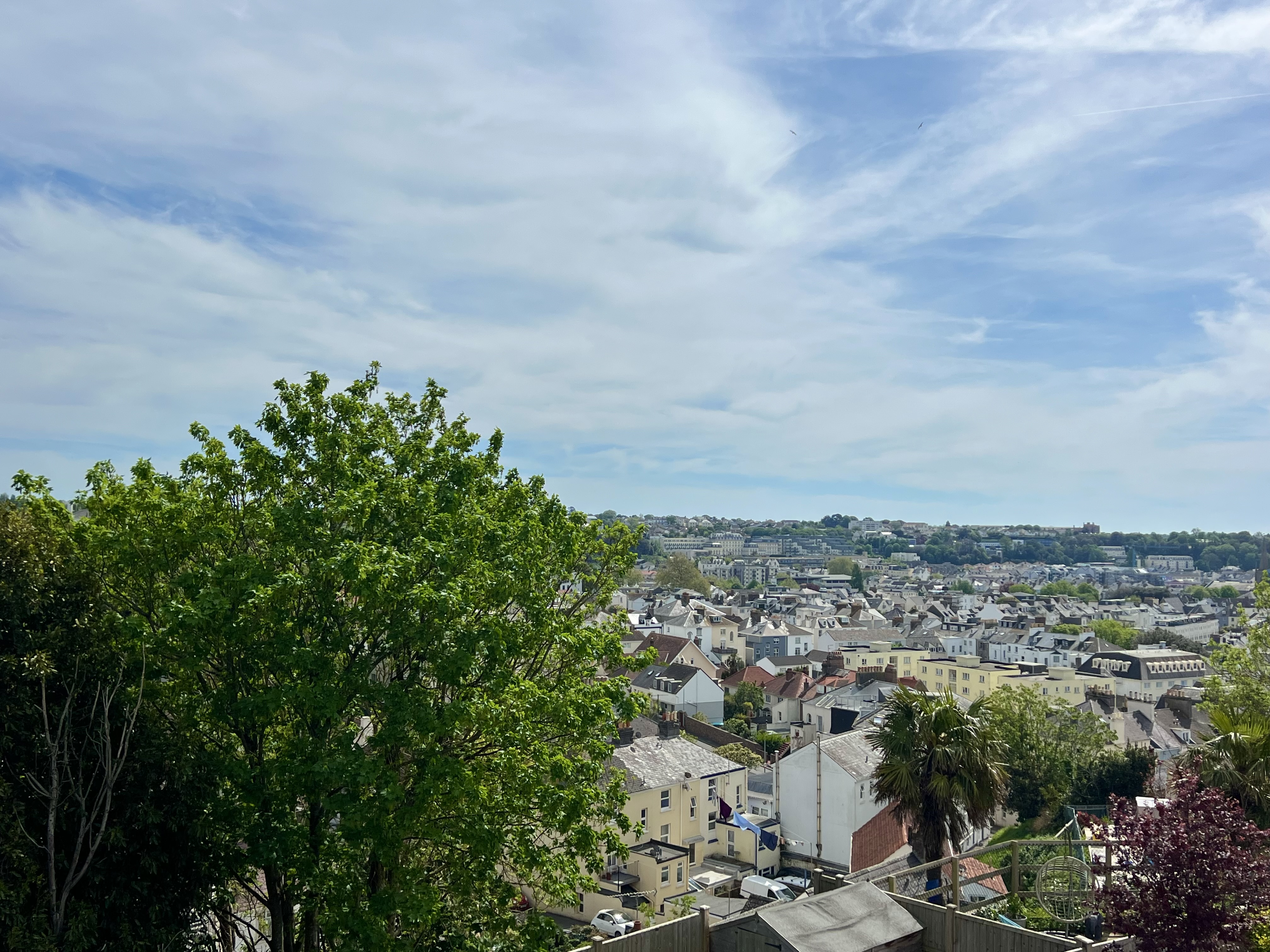 Regents View