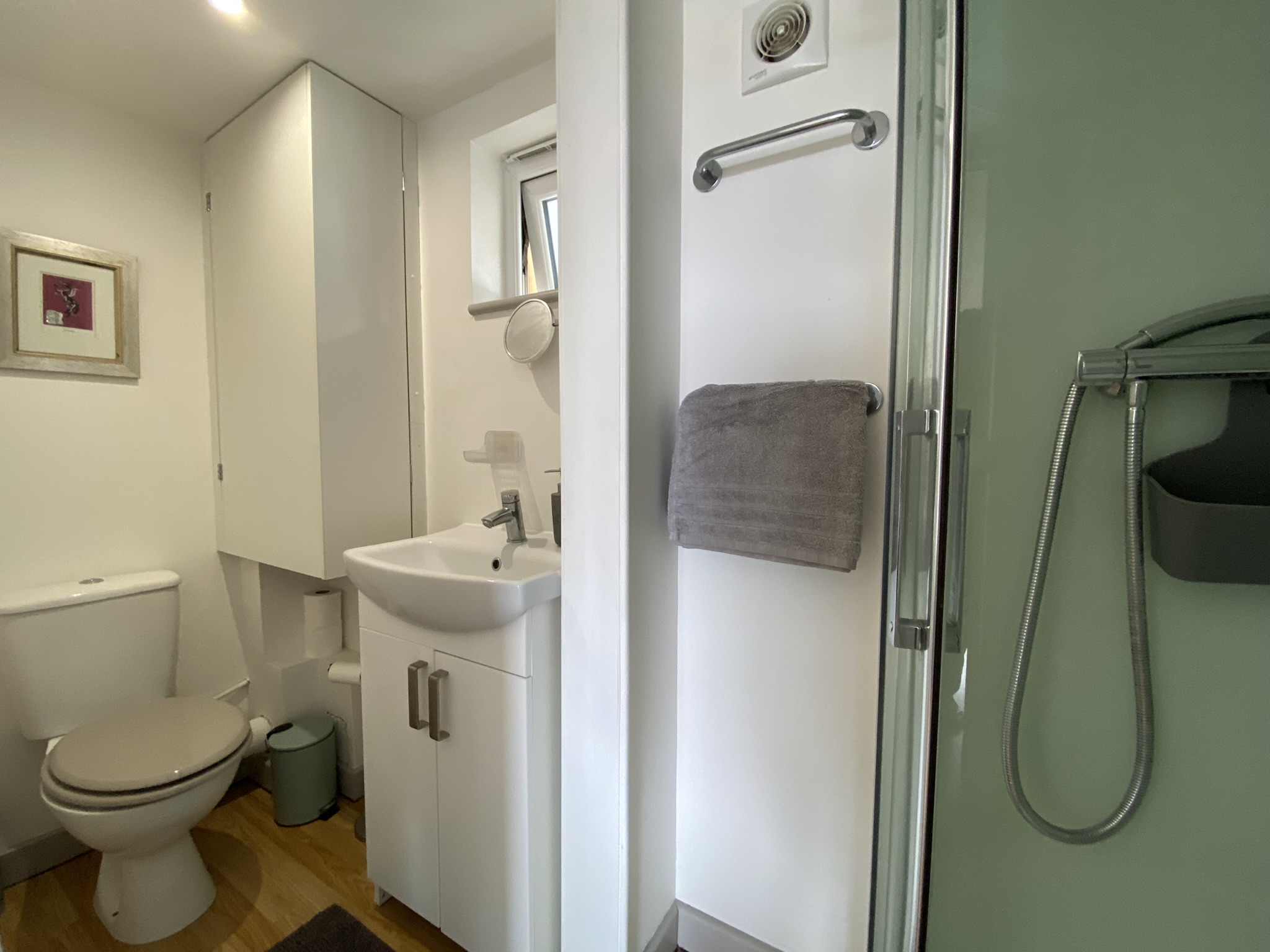 Narrow Shower room - with walk in shower, basin and toilet