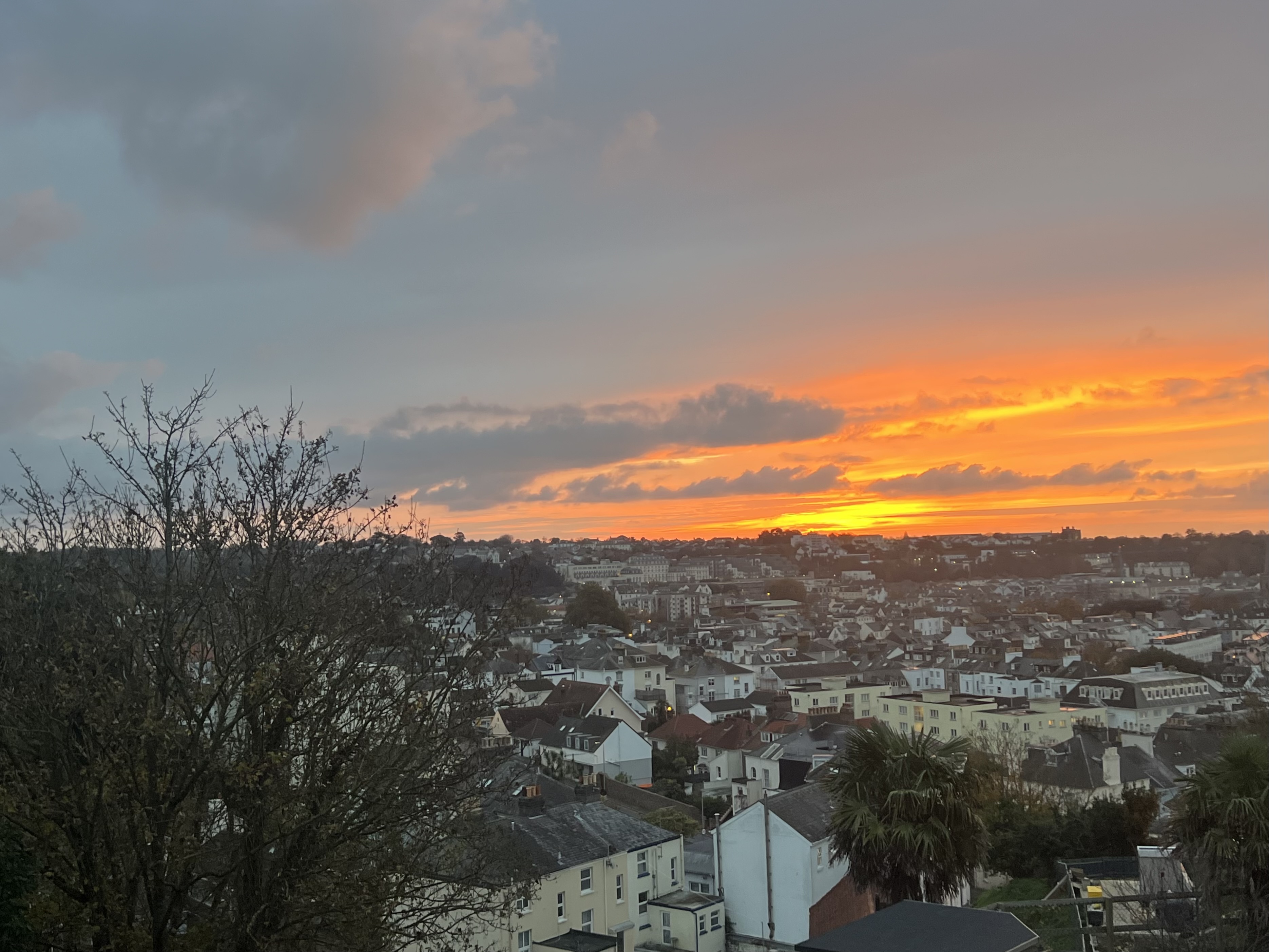 Regents View
