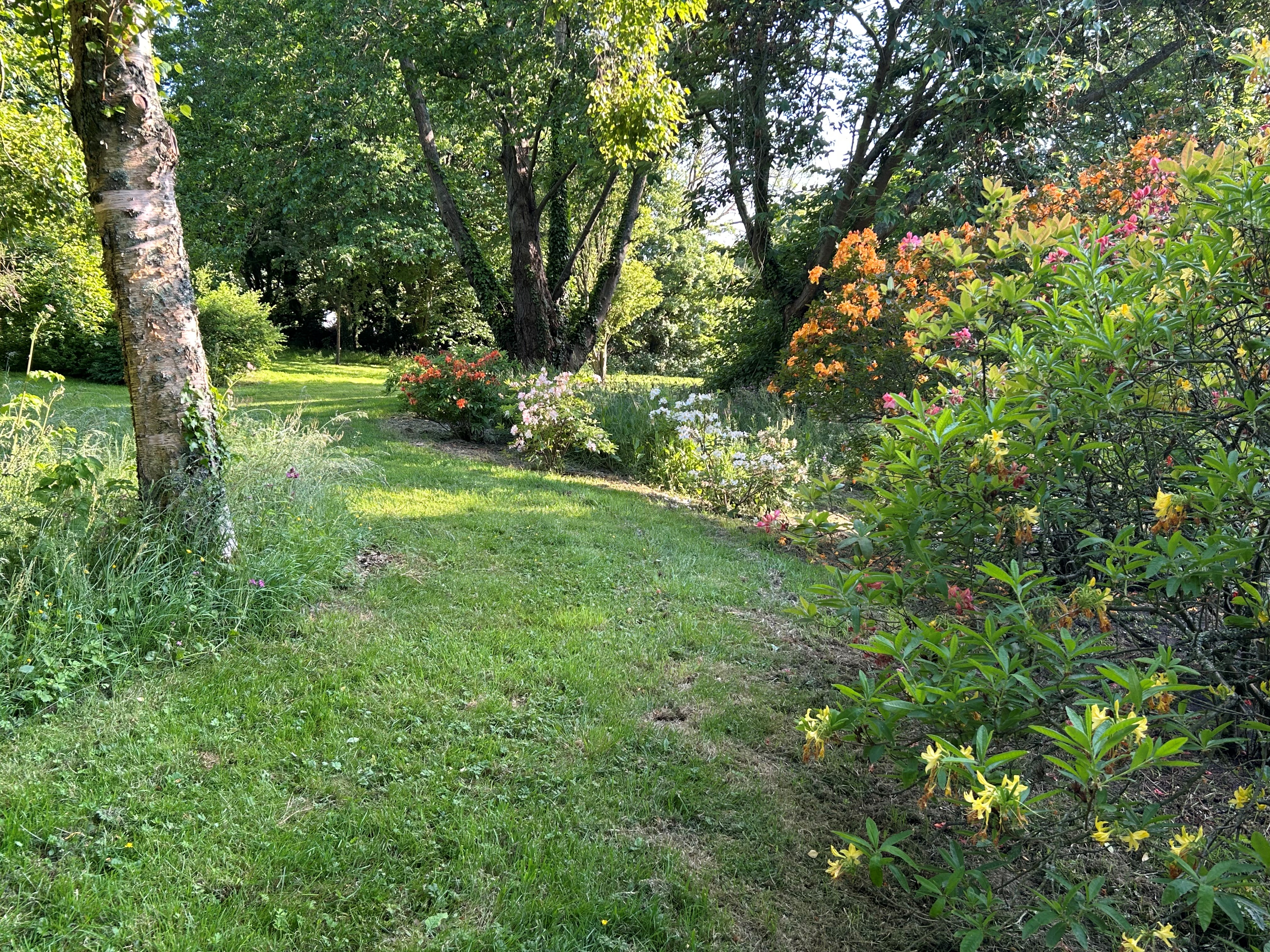 Dairy Cottage