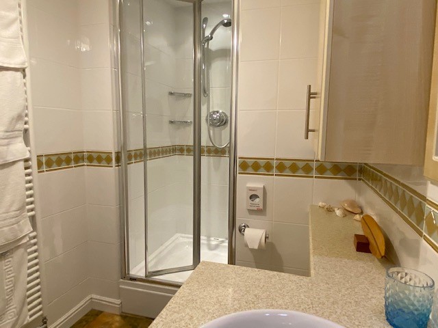 Shower room with basin and WC