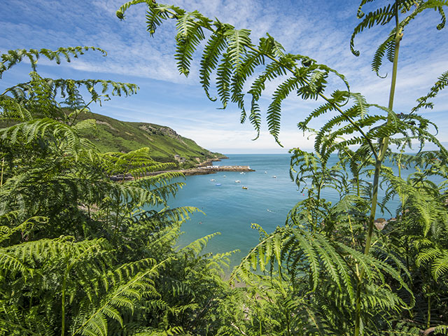 Bouley Bay from the north coast cliff path 