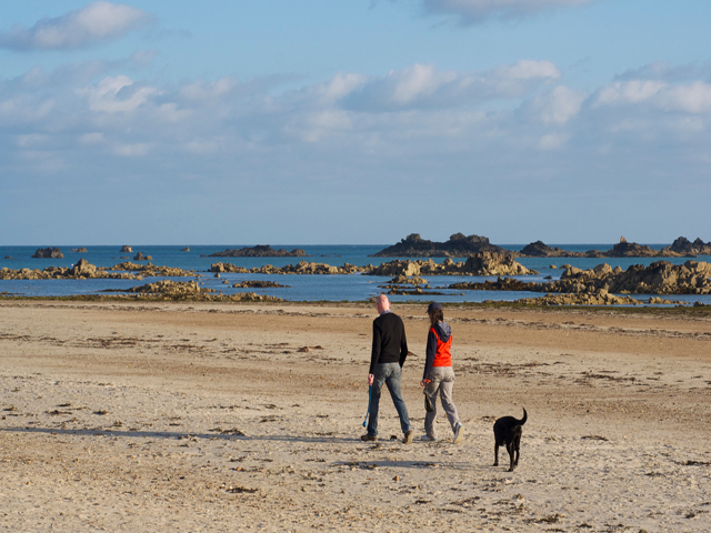 The beach is a popular beach for walking