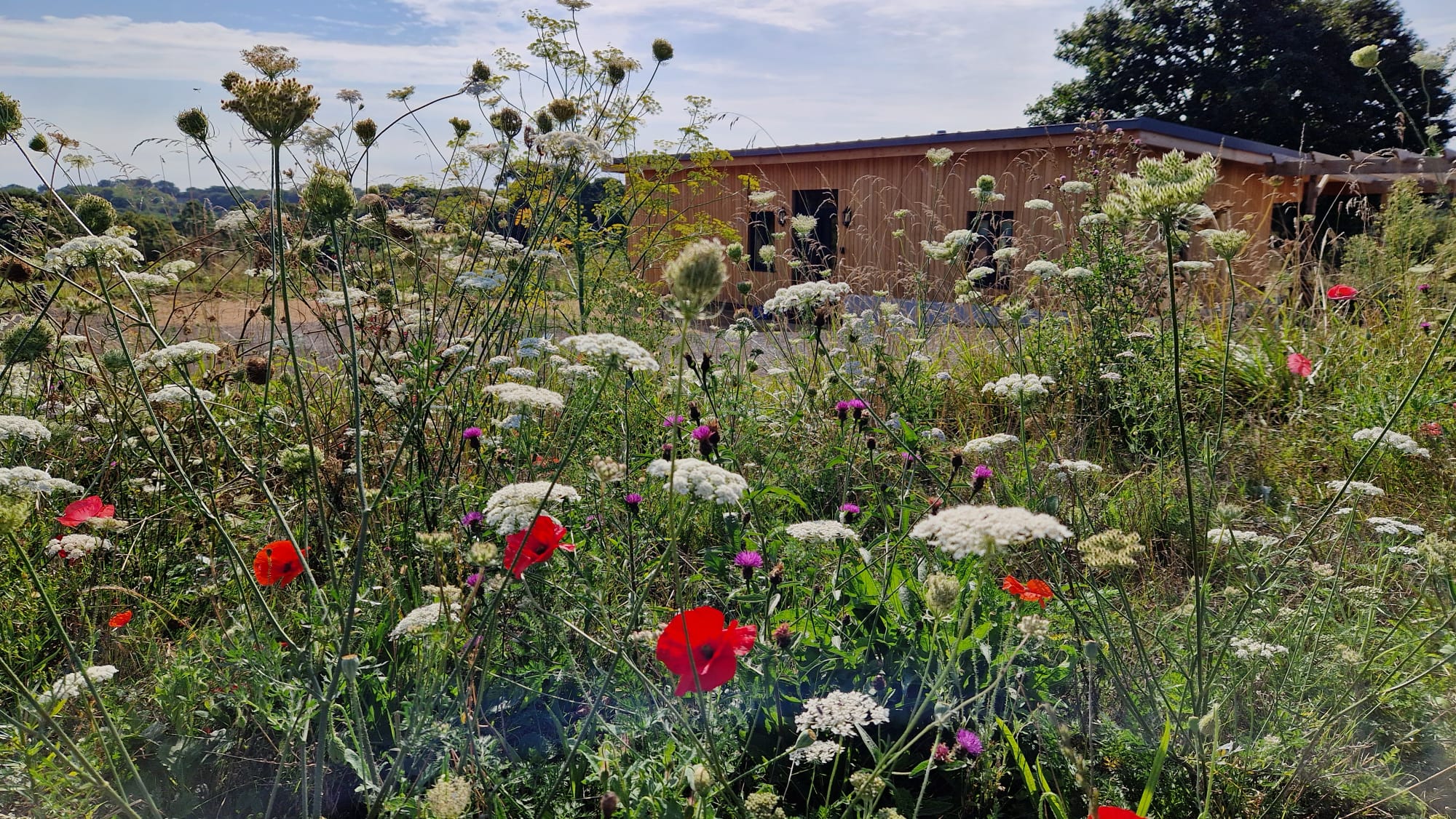 Jardin au Bas